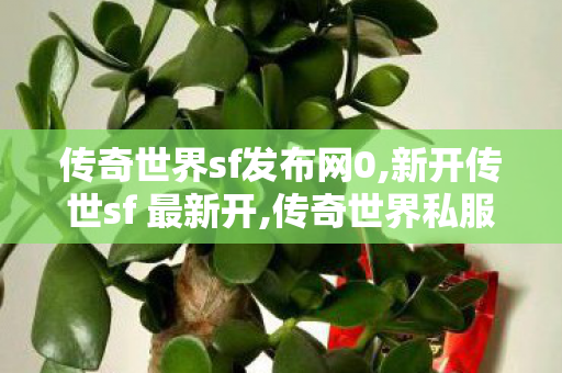 传奇世界sf发布网0,新开传世sf 最新开,传奇世界私服新开,新开传世sf 最新开