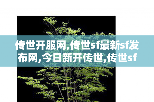 传世开服网,传世sf最新sf发布网,今日新开传世,传世sf最新sf发布网