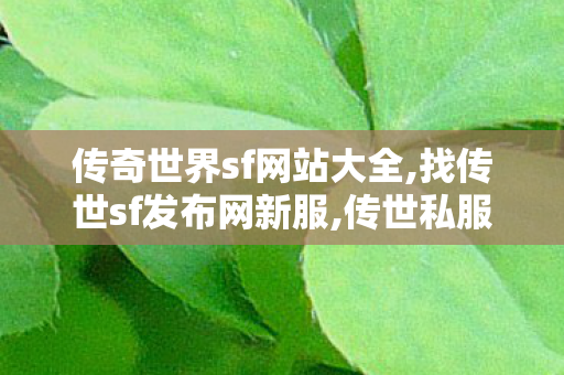 传奇世界sf网站大全,找传世sf发布网新服,传世私服网站,找传世sf发布网新服