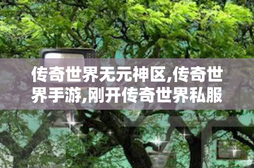 传奇世界无元神区,传奇世界手游,刚开传奇世界私服,传奇世界手游