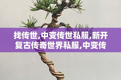 找传世,中变传世私服,新开复古传奇世界私服,中变传世私服