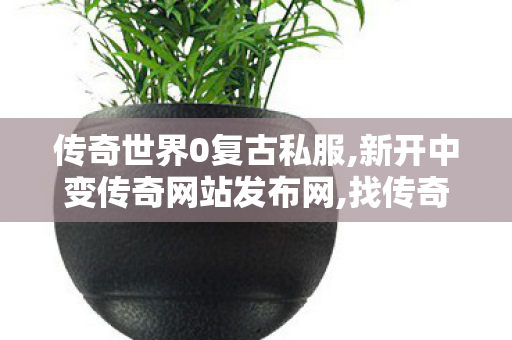 传奇世界0复古私服,新开中变传奇网站发布网,找传奇世界私服发布网站,新开中变传奇网站发布网