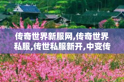 传奇世界新服网,传奇世界私服,传世私服新开,中变传世私服,传奇世界私服,传世私服新开
