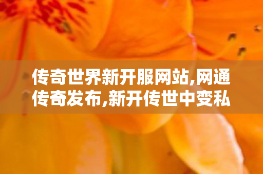 传奇世界新开服网站,网通传奇发布,新开传世中变私服,网通传奇发布