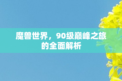 魔兽世界，90级巅峰之旅的全面解析