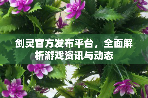 剑灵官方发布平台，全面解析游戏资讯与动态