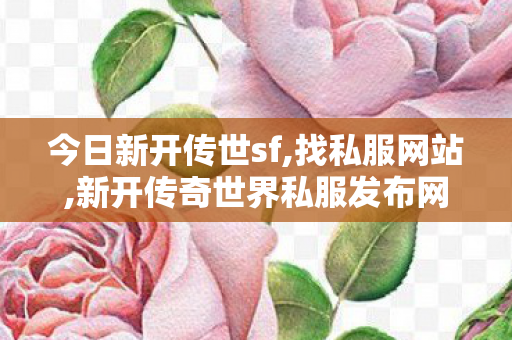 今日新开传世sf,找私服网站,新开传奇世界私服发布网,找私服网站