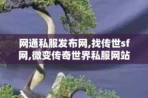 网通私服发布网,找传世sf网,微变传奇世界私服网站,找传世sf网