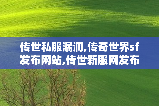 传世私服漏洞,传奇世界sf发布网站,传世新服网发布网,传奇世界sf发布网站