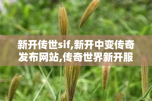新开传世sif,新开中变传奇发布网站,传奇世界新开服网站,新开中变传奇发布网站