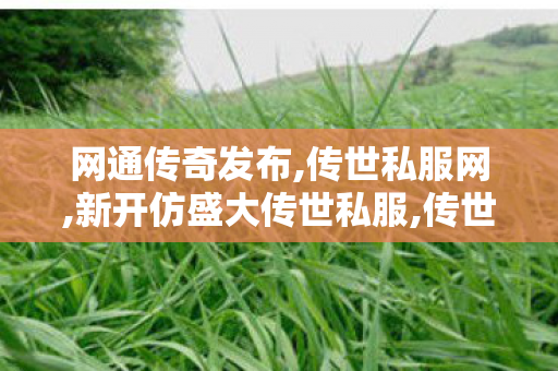 网通传奇发布,传世私服网,新开仿盛大传世私服,传世私服网