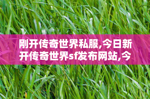 刚开传奇世界私服,今日新开传奇世界sf发布网站,今日新开传奇世界私服,今日新开传奇世界sf发布网站