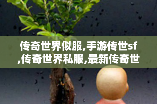 传奇世界似服,手游传世sf,传奇世界私服,最新传奇世界sf,手游传世sf
