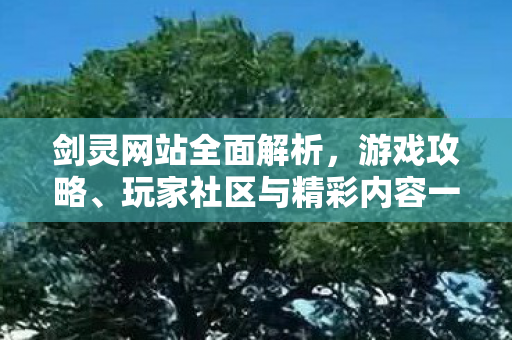剑灵网站全面解析，游戏攻略、玩家社区与精彩内容一览
