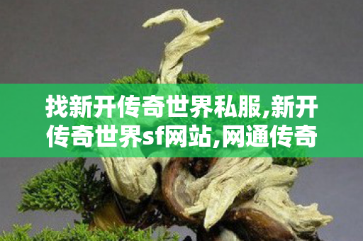 找新开传奇世界私服,新开传奇世界sf网站,网通传奇,新开传奇世界sf网站