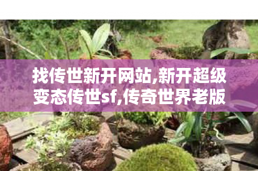 找传世新开网站,新开超级变态传世sf,传奇世界老版本下载,新开超级变态传世sf