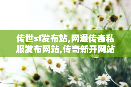 传世sf发布站,网通传奇私服发布网站,传奇新开网站sf,网通传奇私服发布网站