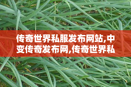 传奇世界私服发布网站,中变传奇发布网,传奇世界私服发布网,中变传奇发布网