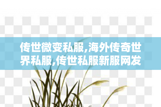 传世微变私服,海外传奇世界私服,传世私服新服网发布网,海外传奇世界私服
