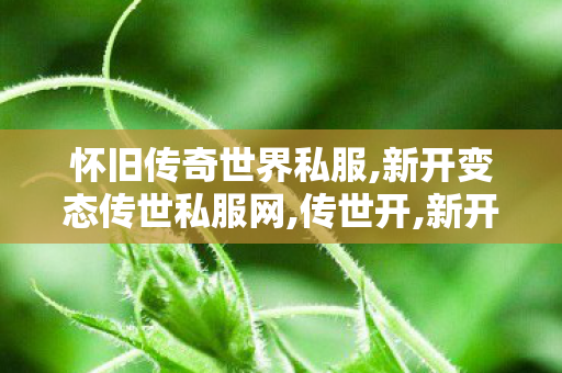 怀旧传奇世界私服,新开变态传世私服网,传世开,新开变态传世私服网