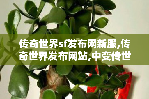 传奇世界sf发布网新服,传奇世界发布网站,中变传世sf,传奇世界发布网站