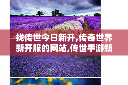 找传世今日新开,传奇世界新开服的网站,传世手游新开服网站0,传奇世界新开服的网站