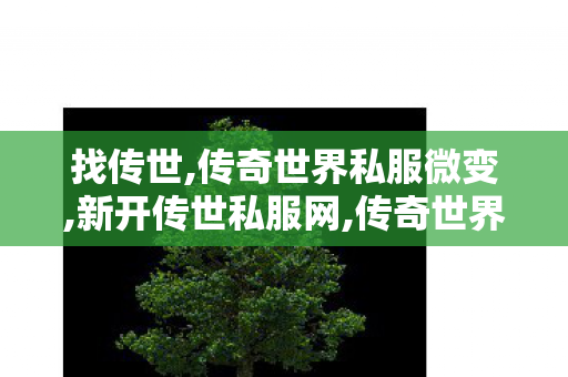 找传世,传奇世界私服微变,新开传世私服网,传奇世界私服微变