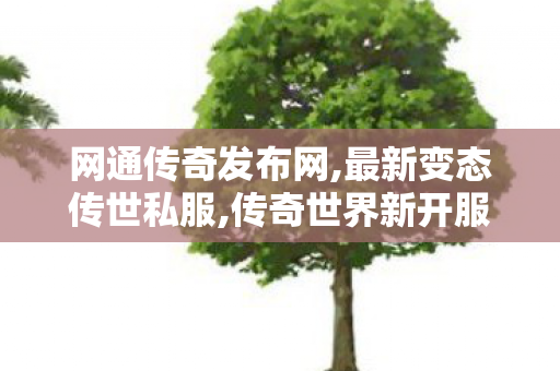 网通传奇发布网,最新变态传世私服,传奇世界新开服的发布网,最新变态传世私服