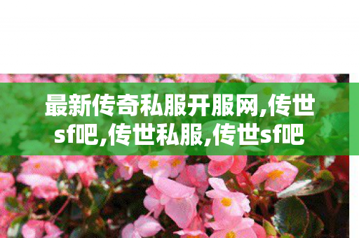 最新传奇私服开服网,传世sf吧,传世私服,传世sf吧
