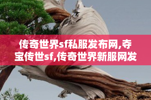 传奇世界sf私服发布网,夺宝传世sf,传奇世界新服网发布网,夺宝传世sf