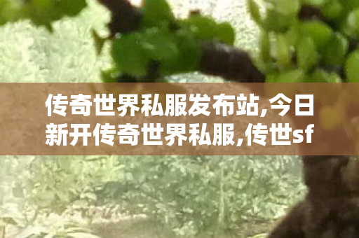 传奇世界私服发布站,今日新开传奇世界私服,传世sf新开网站,今日新开传奇世界私服
