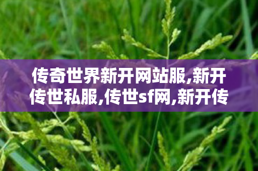 传奇世界新开网站服,新开传世私服,传世sf网,新开传世私服