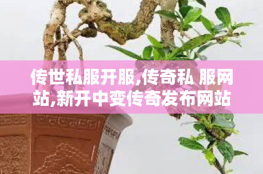 传世私服开服,传奇私 服网站,新开中变传奇发布网站,传奇私 服网站