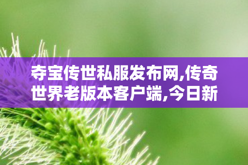 夺宝传世私服发布网,传奇世界老版本客户端,今日新开传世网,传奇世界老版本客户端