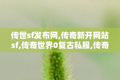 传世sf发布网,传奇新开网站sf,传奇世界0复古私服,传奇新开网站sf