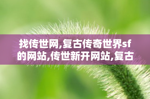 找传世网,复古传奇世界sf的网站,传世新开网站,复古传奇世界sf的网站