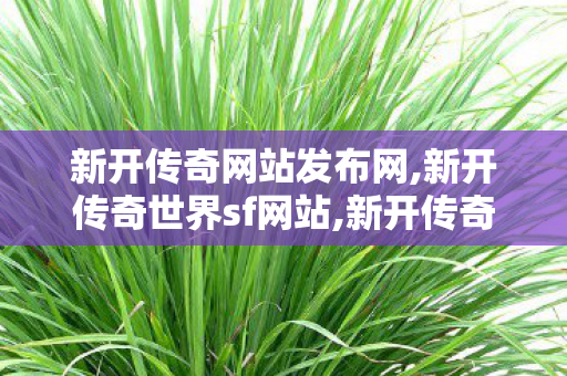 新开传奇网站发布网,新开传奇世界sf网站,新开传奇世界网站中变私服,新开传奇世界sf网站