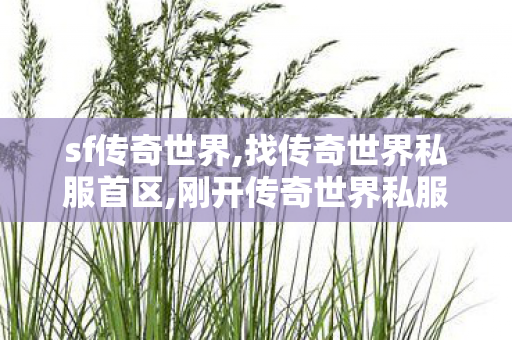 sf传奇世界,找传奇世界私服首区,刚开传奇世界私服,找传奇世界私服首区