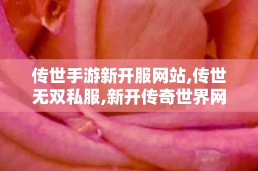 传世手游新开服网站,传世无双私服,新开传奇世界网站刚开一秒,传世无双私服
