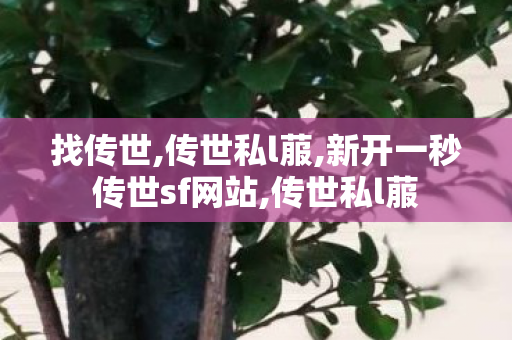 找传世,传世私l菔,新开一秒传世sf网站,传世私l菔