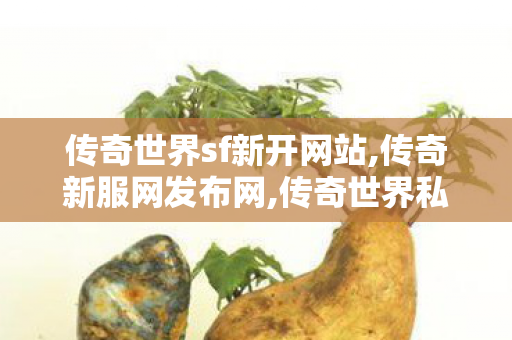 传奇世界sf新开网站,传奇新服网发布网,传奇世界私服新开,传奇新服网发布网