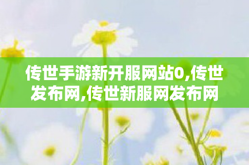 传世手游新开服网站0,传世发布网,传世新服网发布网,传世发布网