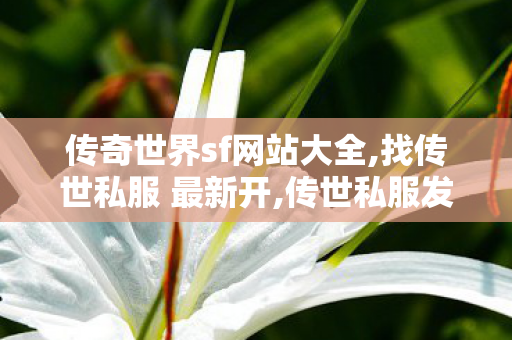 传奇世界sf网站大全,找传世私服 最新开,传世私服发布网,找传世私服 最新开