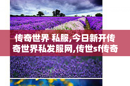 传奇世界 私服,今日新开传奇世界私发服网,传世sf传奇世界私服网,今日新开传奇世界私发服网
