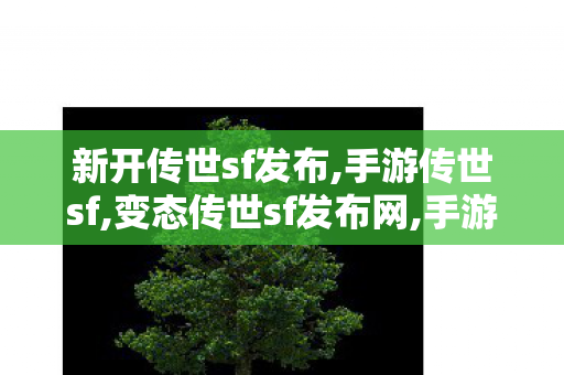 新开传世sf发布,手游传世sf,变态传世sf发布网,手游传世sf