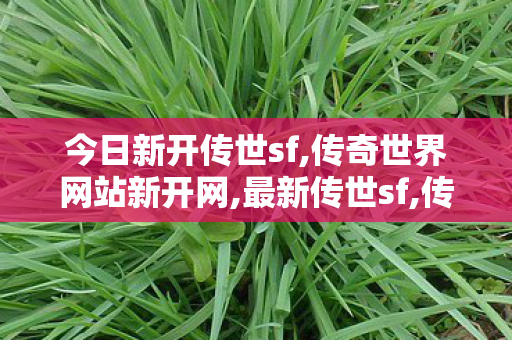 今日新开传世sf,传奇世界网站新开网,最新传世sf,传奇世界网站新开网