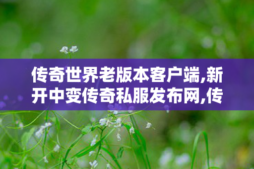 传奇世界老版本客户端,新开中变传奇私服发布网,传奇世界私服新开,新开中变传奇私服发布网