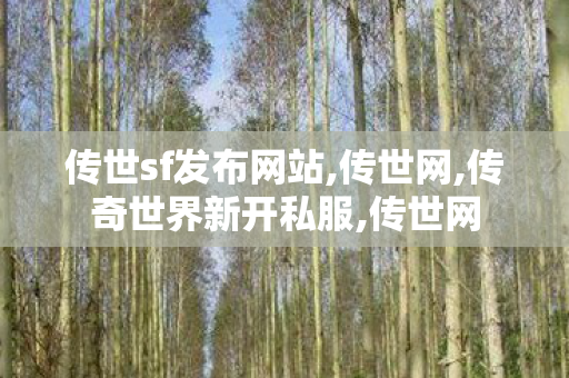传世sf发布网站,传世网,传奇世界新开私服,传世网