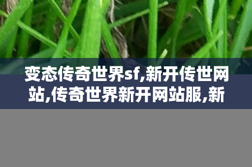 变态传奇世界sf,新开传世网站,传奇世界新开网站服,新开传世网站