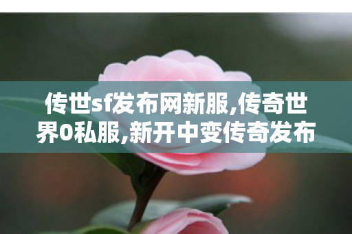 传世sf发布网新服,传奇世界0私服,新开中变传奇发布网,传奇世界0私服